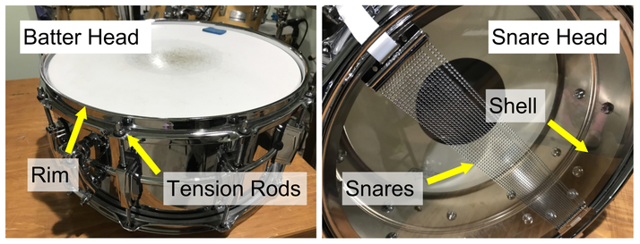 parts of the snare drum